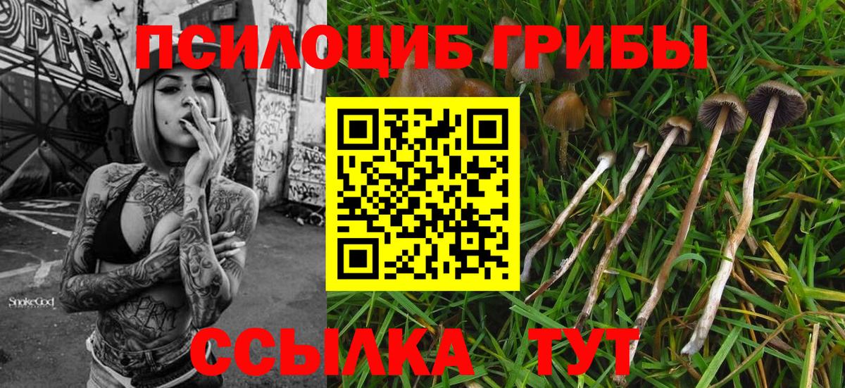 Галлюциногенные грибы мицелий Реж