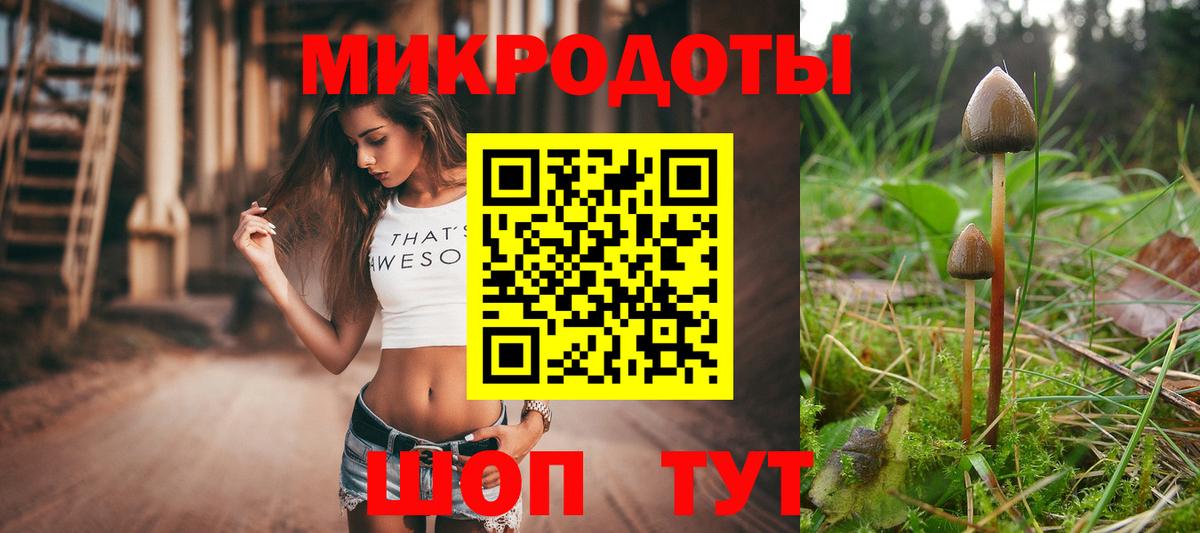 Реж  Галлюциногенные грибы прущие грибы  Вход с VPN 